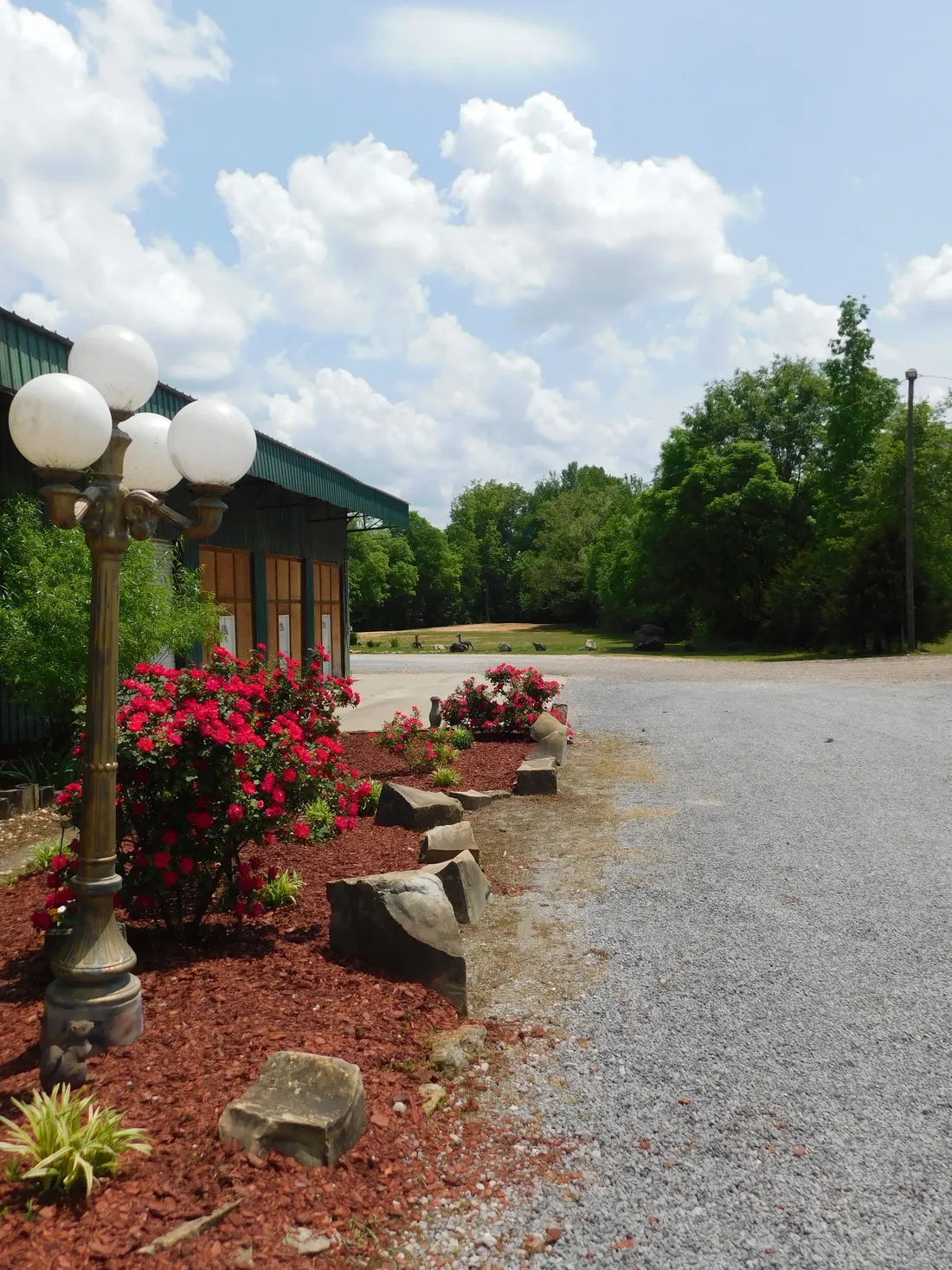 Entrance drive